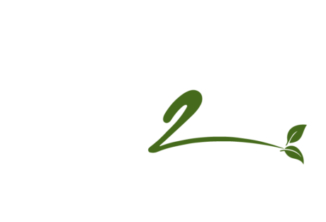 The K2 Life