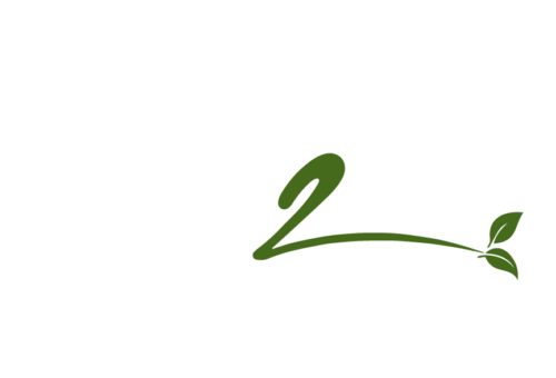 The K2 Life